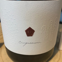Lade das Bild in den Galerie-Viewer, Ruggeri „Cinqueanni“ Prosecco di Superiore DOCG 0,75l
